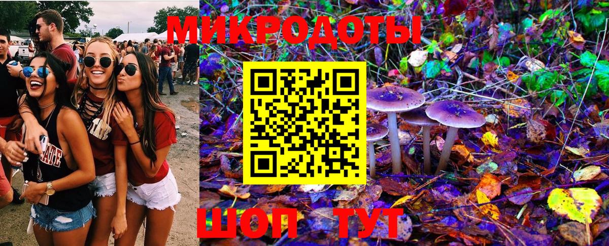 Псилоцибиновые грибы мицелий  Галлюциногенные грибы Psilocybe  Вход с VPN  Новочебоксарск 