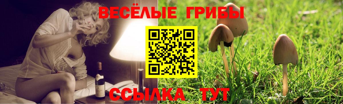 Галлюциногенные грибы ЛСД Новочебоксарск